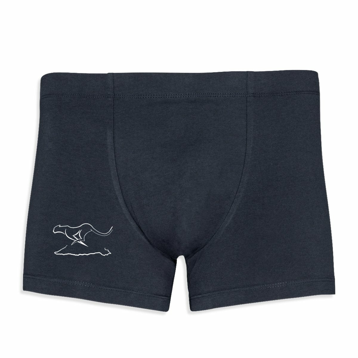 Boxer; LOGO - frente_1