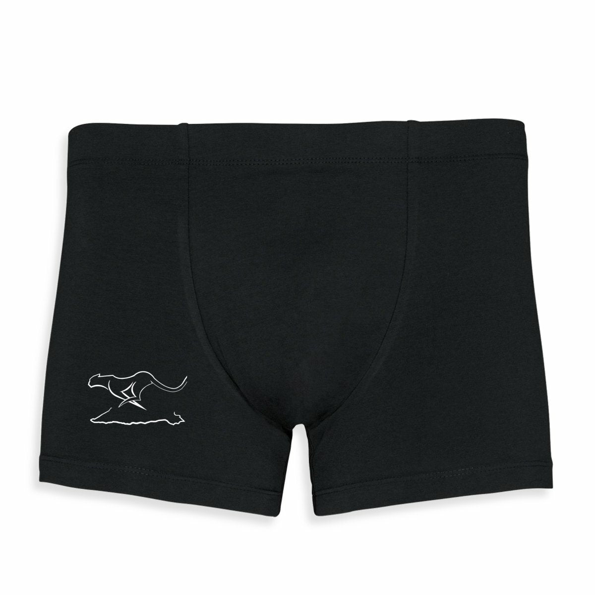 Boxer; LOGO - frente_2